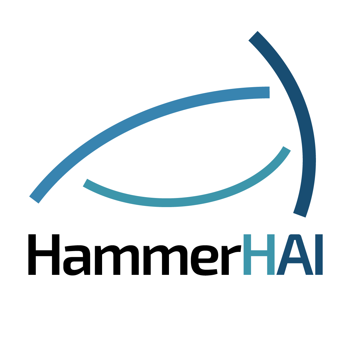 HammerHAI